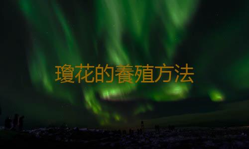 瓊花的養殖方法
