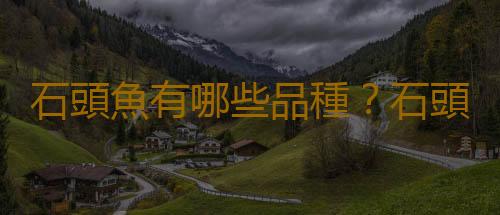 石頭魚有哪些品種？石頭魚怎麽樣？