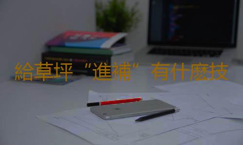 給草坪“進補”有什麽技巧