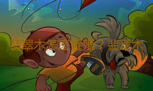 翡翠木怎麽養殖？翡翠木有什麽特征？