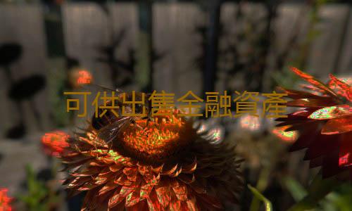 可供出售金融資產