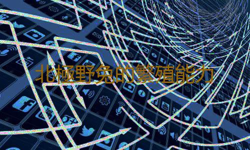 北極野兔的繁殖能力
