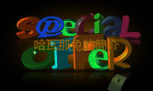 哈瓦那兔的簡介