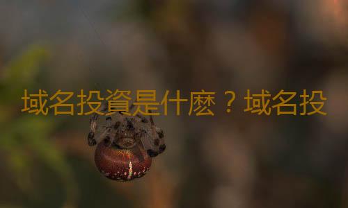 域名投資是什麽？域名投資技巧