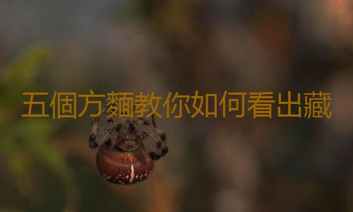 五個方麵教你如何看出藏獒的身體健康情況