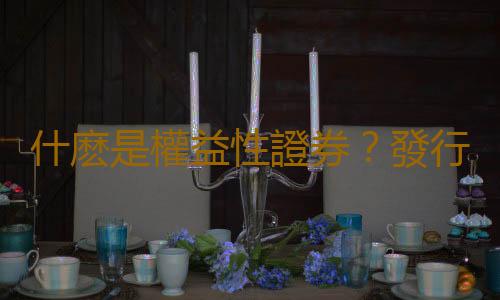 什麽是權益性證券？發行權益性證券