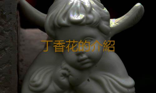 丁香花的介紹