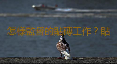 怎樣監督的貼磚工作？貼磚的技巧