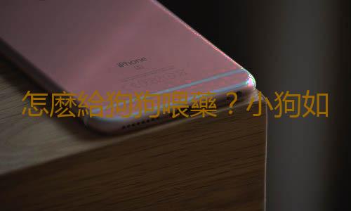 怎麽給狗狗喂藥？小狗如何喂藥？