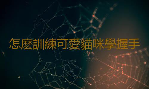 怎麽訓練可愛貓咪學握手
