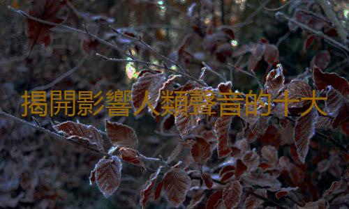 揭開影響人類聲音的十大秘密