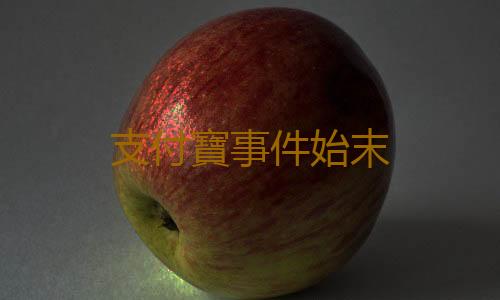 支付寶事件始末