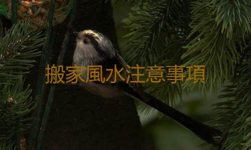 搬家風水注意事項