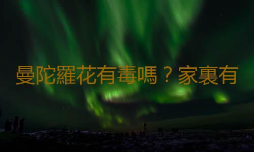 曼陀羅花有毒嗎？家裏有寶寶能養曼陀羅花嗎？