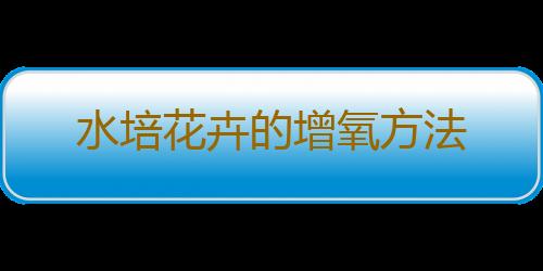 水培花卉的增氧方法