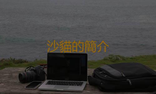 沙貓的簡介