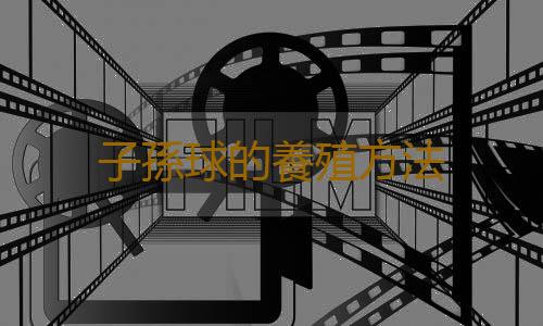 子孫球的養殖方法
