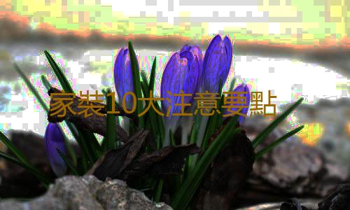 家裝10大注意要點