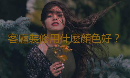 客廳裝修用什麽顏色好？客廳裝修顏色搭配