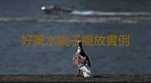 好風水鏡子擺放實例