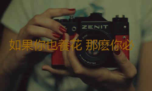如果你也養花 那麽你必須注意這些事