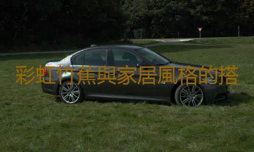 彩虹竹蕉與家居風格的搭配