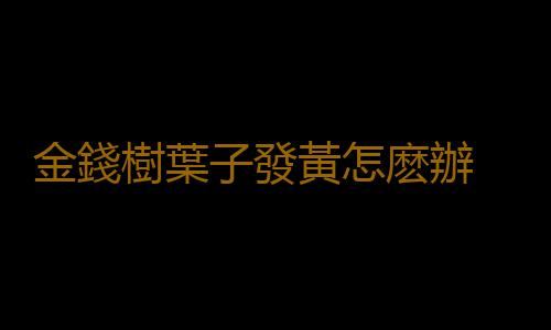 金錢樹葉子發黃怎麽辦 根部很容易因為積水而腐爛