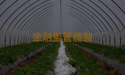 金融監管體製