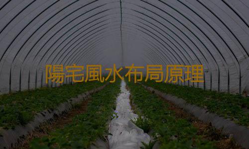 陽宅風水布局原理
