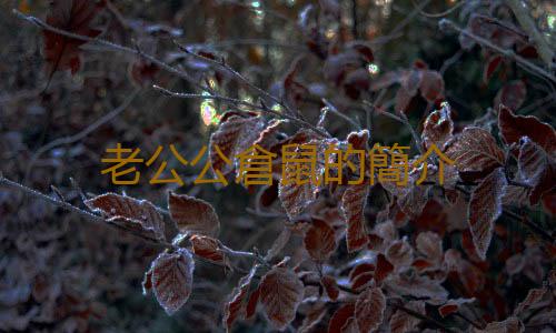 老公公倉鼠的簡介
