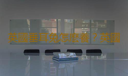英國垂耳兔怎麽養？英國垂耳兔吃什麽？