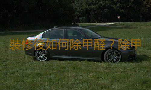 裝修後如何除甲醛？除甲醛最有效方法及植物