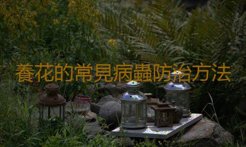 養花的常見病蟲防治方法