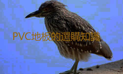 PVC地板的選購知識
